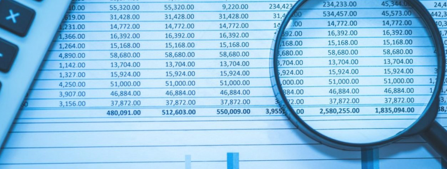 Magnifying glass on spreadsheet