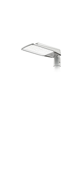 Maximo medium