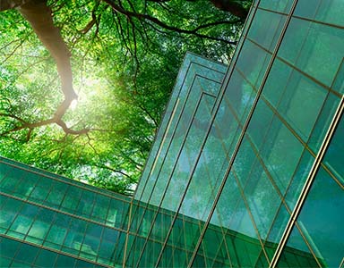 Sustainability