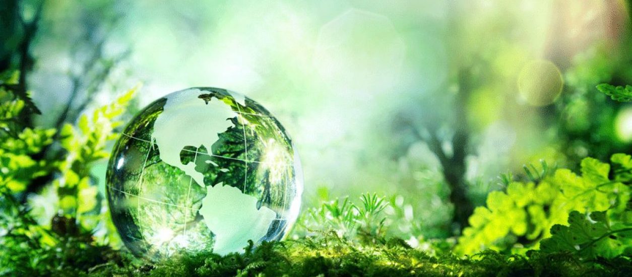 Celebramos el Día Mundial del Medio Ambiente con 3 motivos para alegrarnos
