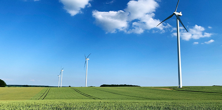 Sustainability