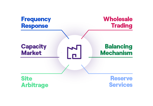 Flexibility programmes within frequency response, wholesale trading, capacity market, balancing mechanism, reserve services, site arbitrage